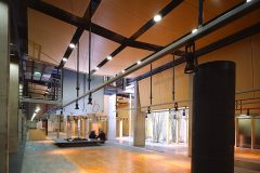 AGORA_WARSZAWA_03_klon_bialy_gemini