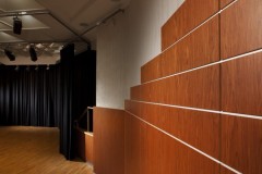 Akademia_Muzyczna_Poznan_mahon_gemini_02