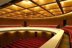 Akademia_Muzyczna_Poznan_mahon_gemini_02