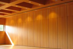 Auditorium_Maximum_UJ_Krakow_buk_gladki_PH8_SH8_09