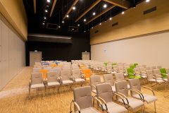 ECB_Pacanow_brzoza_gladki_02