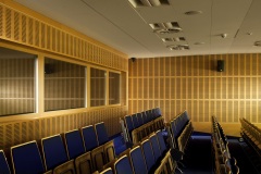 MTP_Poznan_buk_gladki_SX8_02