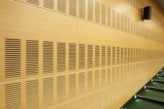 MTP_Poznan_buk_gladki_SX8_04