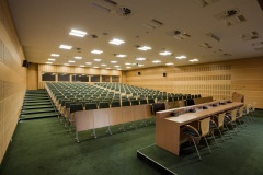 MTP_Poznan_buk_gladki_SX8_05