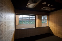Stadion_Legii_Warszawa_brzoza_toczona_gladki_SH5_01