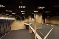 Stadion_Legii_Warszawa_brzoza_toczona_gladki_SH5_04