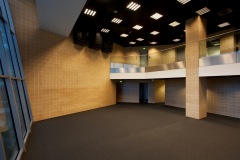 Stadion_Legii_Warszawa_brzoza_toczona_gladki_SH5_05