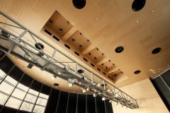 Stadion_Wisly_Krakow_brzoza_gladki_PH5_02