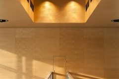 Stadion_Wisly_Krakow_brzoza_gladki_PH5_04